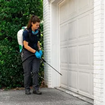 got bugs? Termite and Pest Solutions - Pest Control Services in Alpharetta, GA