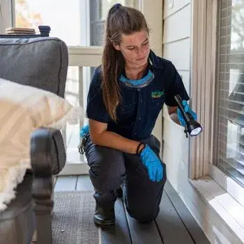 got bugs? Termite and Pest Solutions - Pest Control Services in Alpharetta, GA