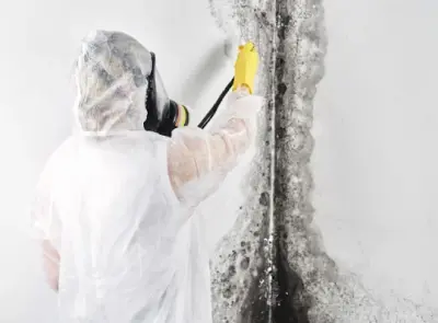 Gotsch Inspect - Pest Control Services in Sykesville, MD
