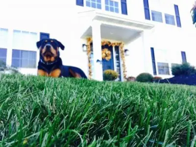 Green Giant Home & Commercial - Landscape Construction in Fleetwood, PA