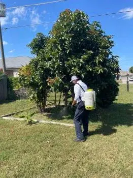 GreenCore Environmental - Pest Control Services in Cocoa, FL