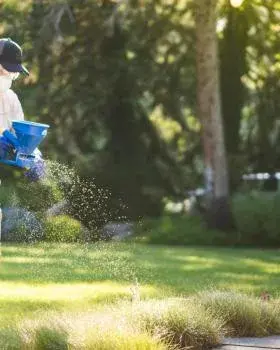 Greenix Pest Control - Pest Control Services in Janesville, WI