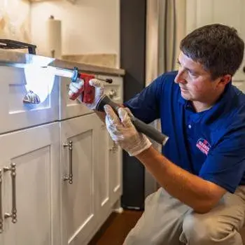 Harris Pest Control, Inc. - Pest Control Services in Georgetown, SC