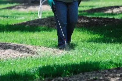 Hurt Exterminating - Pest Control Services in Odessa, TX