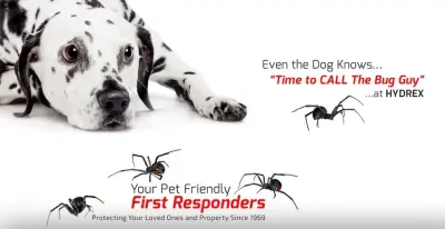 Hydrex Termite & Pest Control - Pest Control Services in Simi Valley, CA