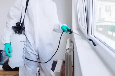 Hydrex Termite & Pest Control - Pest Control Services in Simi Valley, CA