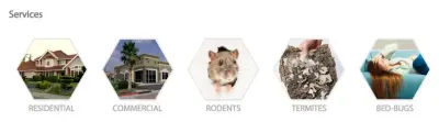 Hydrex Termite & Pest Control - Pest Control Services in Ventura, CA