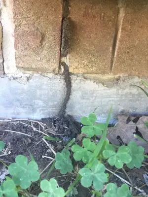 Ellis County Pest Services - Pest Control Services in Red Oak, TX