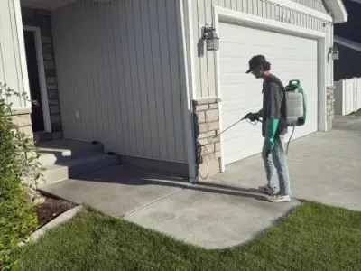 DeWebb Pest Control - Pest Control Services in Rigby, ID