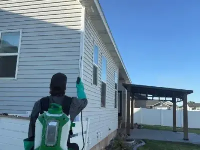 DeWebb Pest Control - Pest Control Services in Rigby, ID
