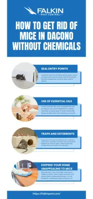 Falkin Pest Control - Pest Control Services in Denver, CO