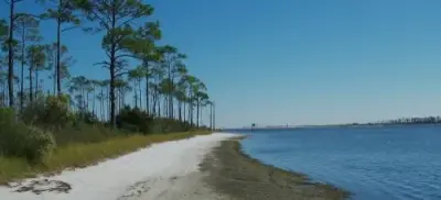 Insight Pest Solutions - Pest Control Services in Pensacola, FL