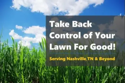 Mole Miners - Pest Control Services in Gallatin, TN