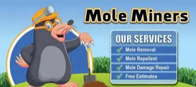 Mole Miners of Louisville - Pest Control Services in Louisville, KY
