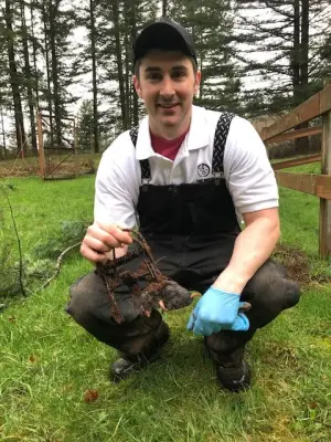 The Mole Guys - Pest Control Services in Camas, WA