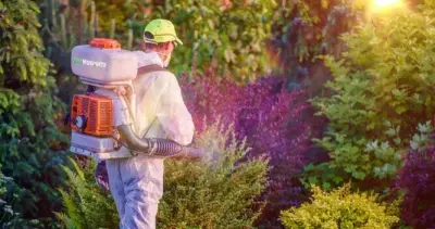 Eco Bro's Pest Solutions - Pest Control Services in Cincinnati, OH