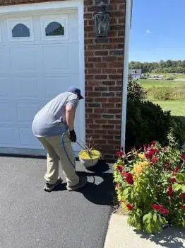Pest Exit - Pest Control Services in Winchester, VA