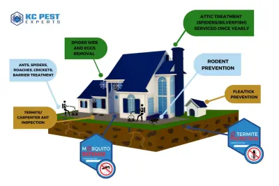 KC Pest Experts - Pest Control Services in Olathe, KS