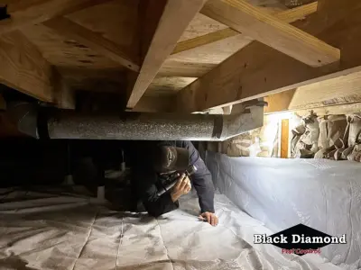 Black Diamond Pest Control - Pest Control Services in Nicholasville, KY