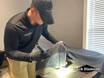 Black Diamond Pest Control - Pest Control Services in Nicholasville, KY