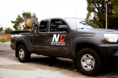 Never Pests Pest Control - Pest Control Services in Bakersfield, CA