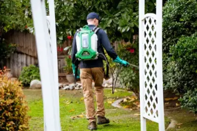 Never Pests Pest Control - Pest Control Services in Bakersfield, CA