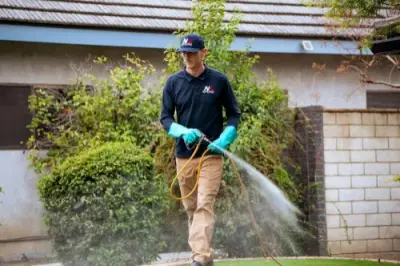 Never Pests Pest Control - Pest Control Services in Bakersfield, CA