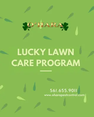 O'Hara Pest Control - Pest Control Services in West Palm Beach, FL