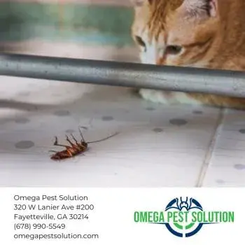 Omega Pest Solution - Pest Control Services in Fayetteville, GA