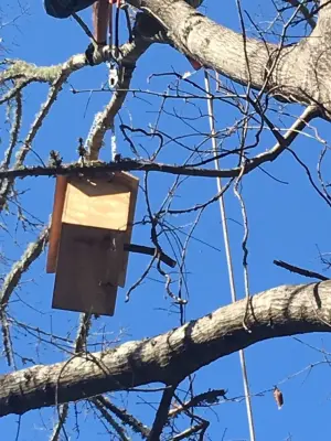 Stephan Boxes - Pest Control Services in Summerville, SC