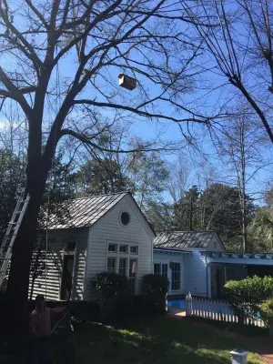 Stephan Boxes - Pest Control Services in Summerville, SC