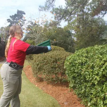 Palmetto Exterminators - Pest Control Services in Walterboro, SC