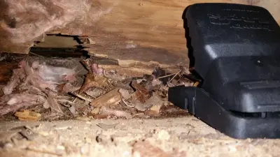 P.I. Pest Investigators LLC - Pest Control Services in Hyannis, MA