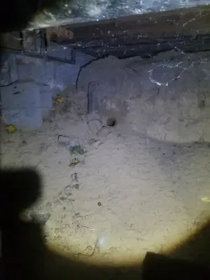 P.I. Pest Investigators LLC - Pest Control Services in Hyannis, MA