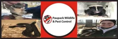 Paupack Wildlife and Pest Control - Pest Control Services in Paupack, PA