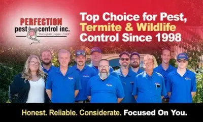 Perfection Pest Control - Pest Control Services in Union, KY