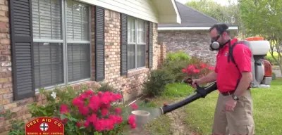 Pest Aid Co - Pest Control Services in Alexandria, LA