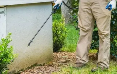 Pest Control Consultants - Pest Control Services in Springfield, IL