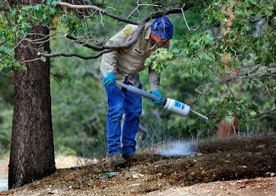 Pest Control Pros - Pest Control Services in Sacramento, CA