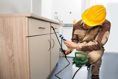 Pest Control Pros - Pest Control Services in Sacramento, CA