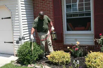 Pest Control Pros - Pest Control Services in Sacramento, CA