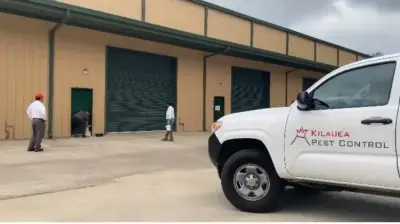 Kilauea Pest Control - Pest Control Services in Kailua, HI