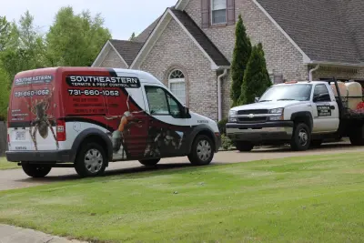 Southeastern Termite & Pest Control - Pest Control Services in Jackson, TN
