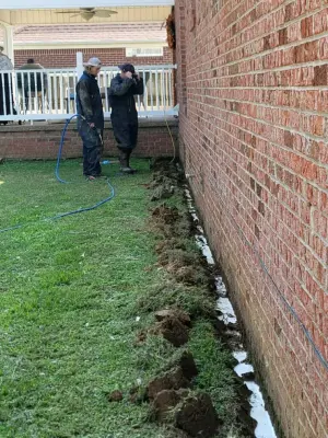 Southeastern Termite & Pest Control - Pest Control Services in Jackson, TN