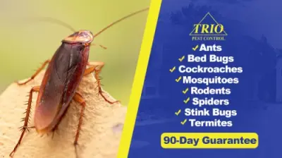 Trio Pest Control - Pest Control Services in Indianapolis, IN