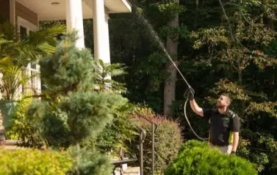 National Exterminating Co. - Pest Control Services in Newport News, VA