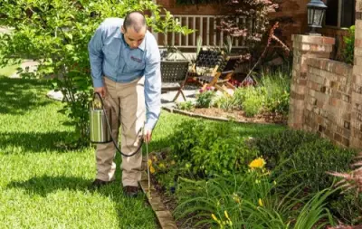 Frontier Pest Control - Pest Control Services in Reno, NV