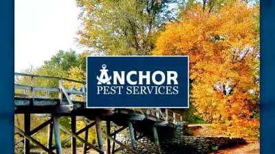 Anchor Pest Services - Pest Control Services in Manchester, NH