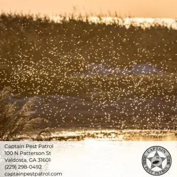 Captain Pest Patrol - Pest Control Services in Valdosta, GA