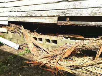 Advanced Termite + Pest Control - Junk Removal & Hauling in Charleston, SC